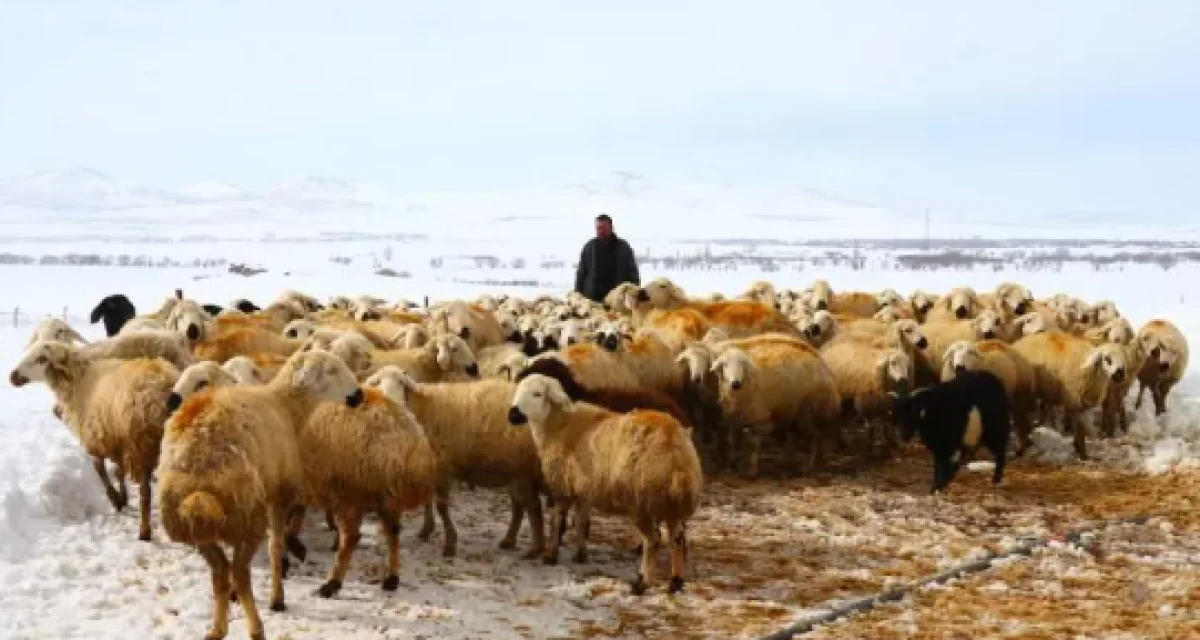 120 bin liraya &ccedil;alışacak iş&ccedil;i bulamıyorlar       