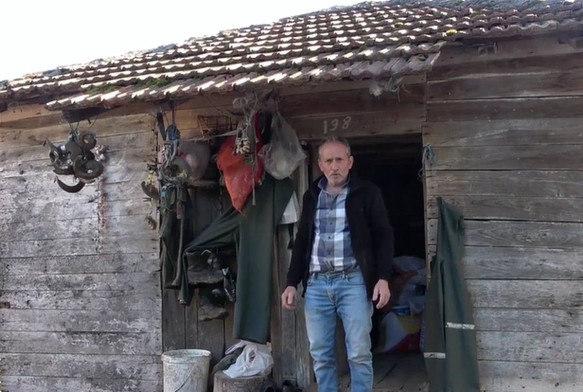 20 yıldır s&uuml;ren baykuşla &ccedil;ift&ccedil;inin dostluğu, Her bahar aynı ambara yuva yapıyorlar