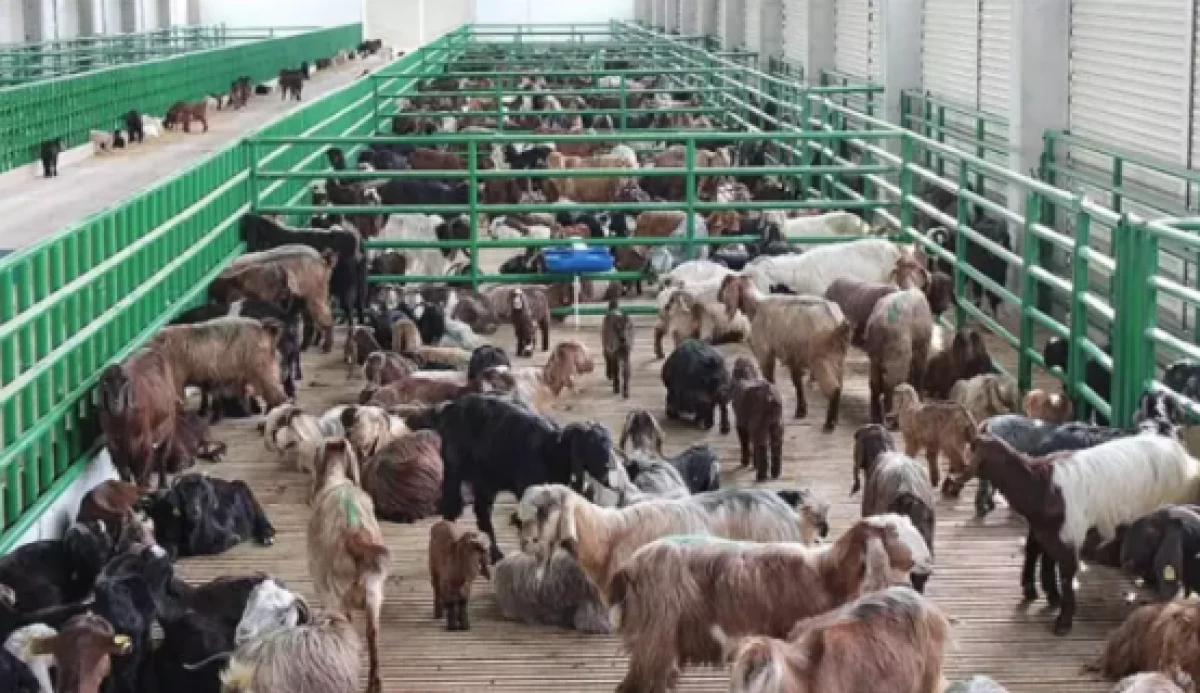 241 milyon euro hibe desteği!               