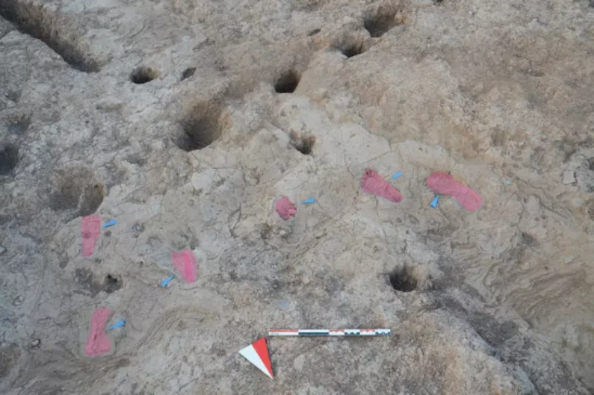 '7 bin yıllık adımlar' yeniden gün yüzüne çıktı      