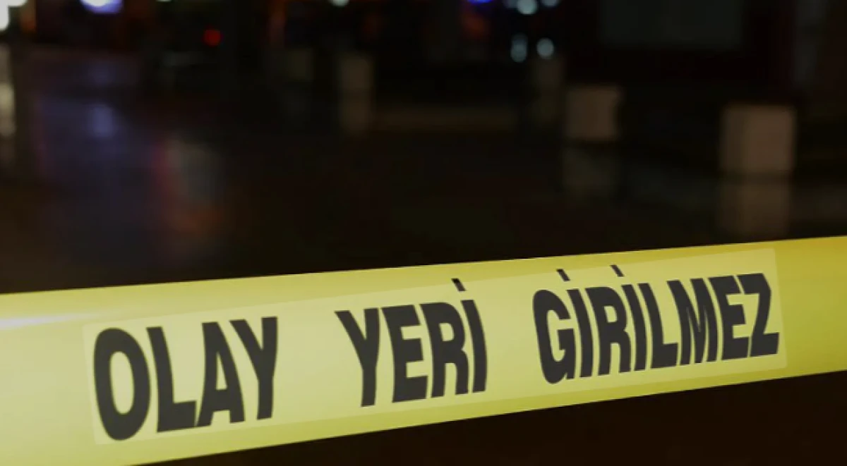 71 yaşındaki adam tartıştığı eşini öldürdü 