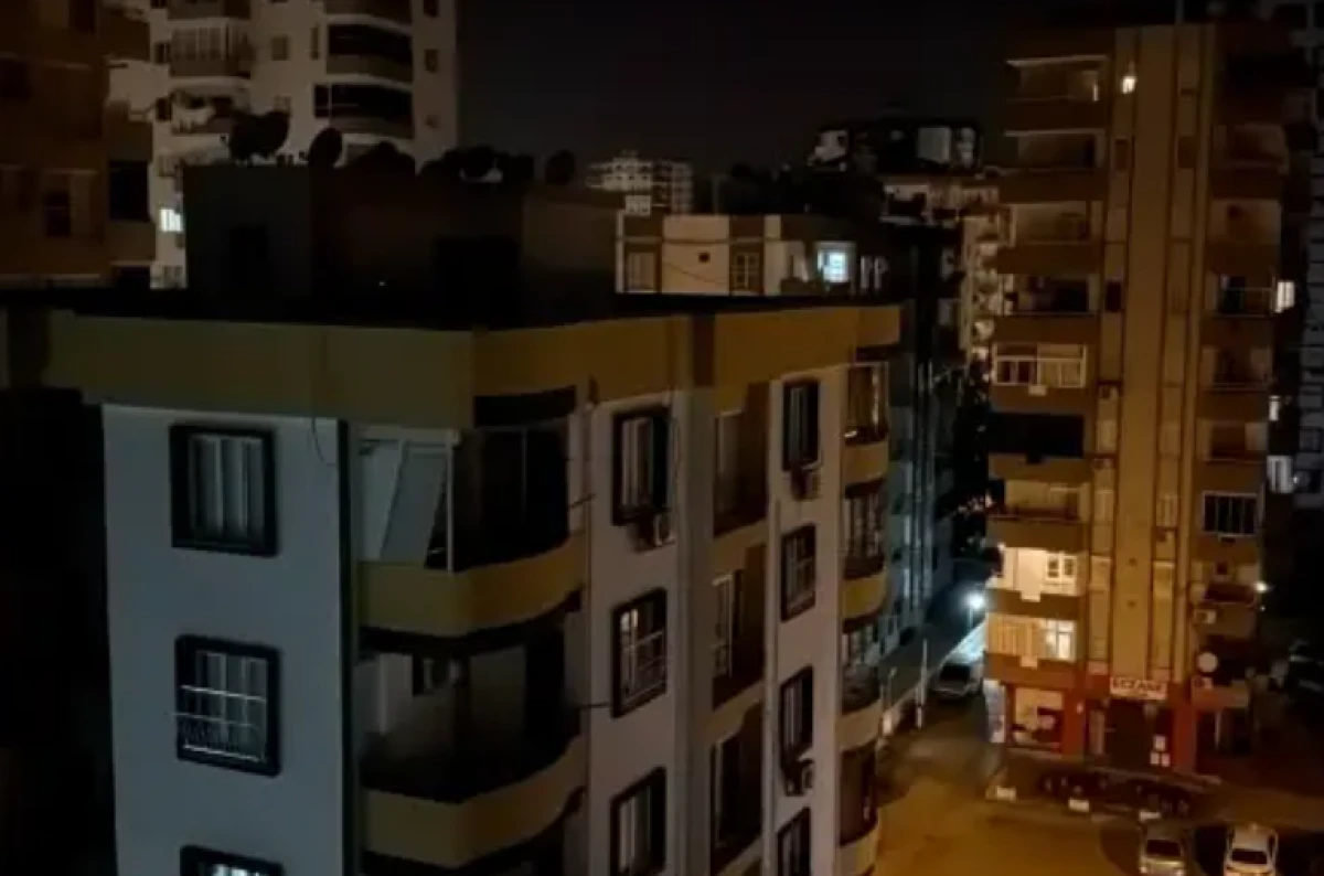 Adana'da deli eden cırcır b&ouml;ceği! Vatandaşa uyku haram oldu
