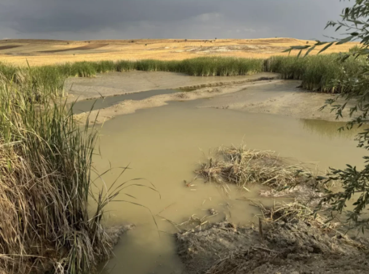 Afyon'da 11 yaşındaki iki çocuk gölette boğuldu           