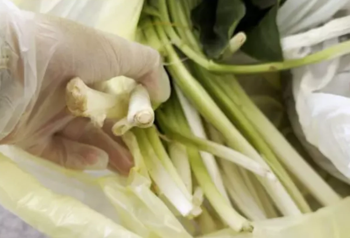 Ağzına alır almaz fenalaştı                     