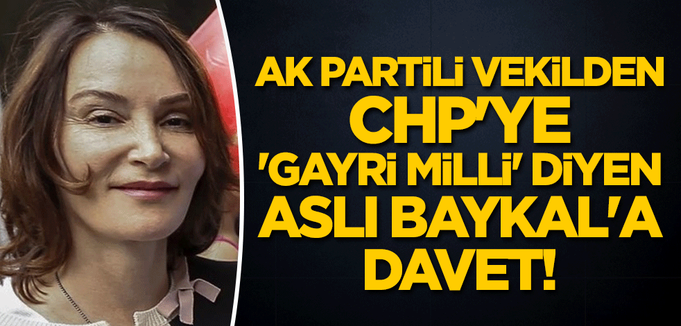AK Partili vekilden CHP'ye 'gayri milli' diyen Aslı Baykal'a davet! 