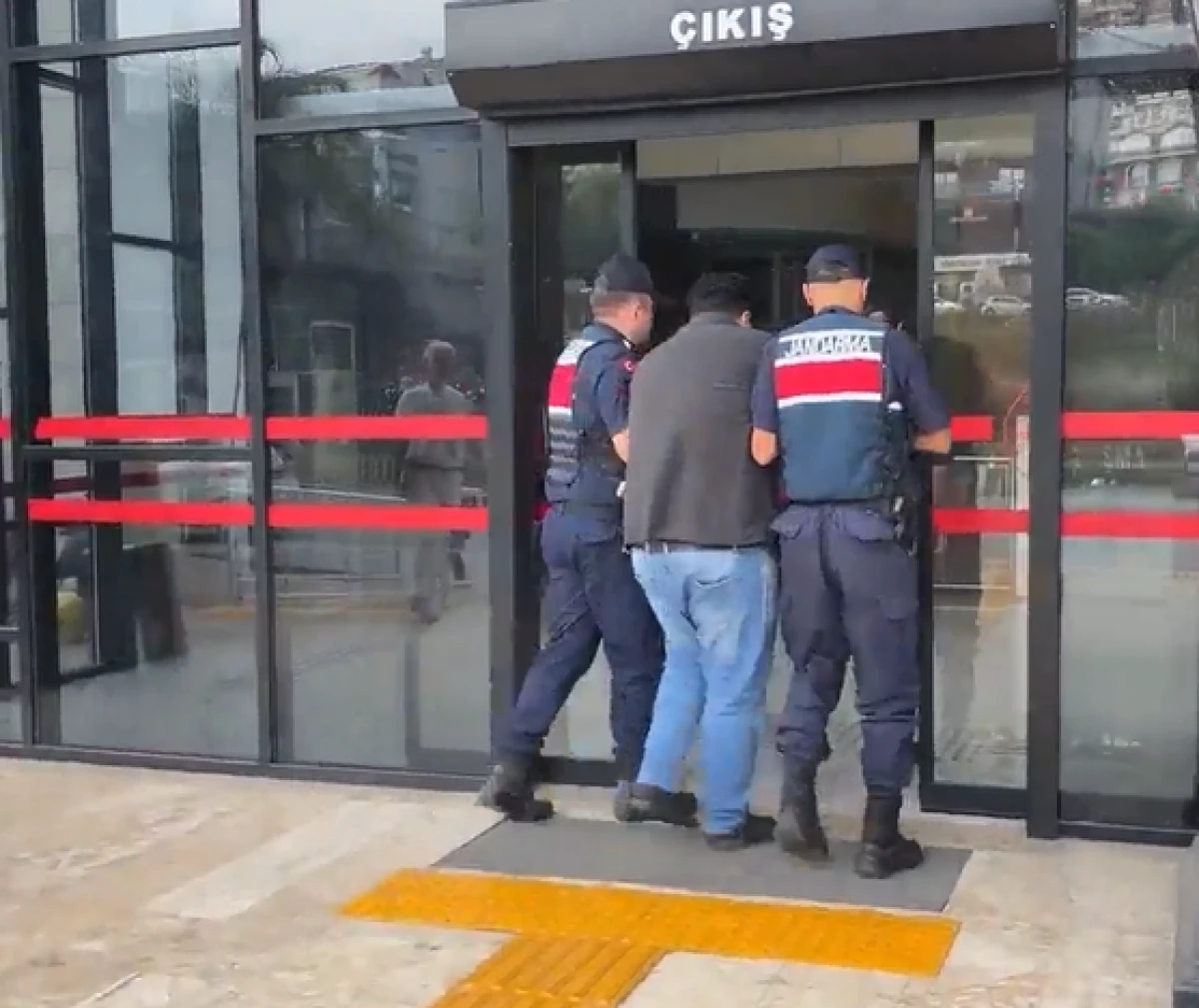 Alanya'da kuşlara y&ouml;nelik vahşet kamerada: Birinin kafasını ağzıyla, diğerinin bı&ccedil;akla kesti