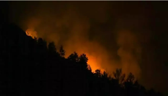 Alanya'daki orman yangını kısmen kontrol altına alındı 