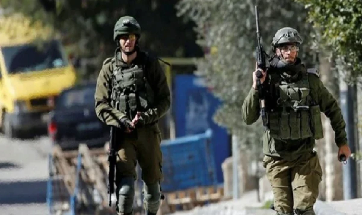 Al&ccedil;ak ter&ouml;ristler şimdi de koyunları &ccedil;aldı          