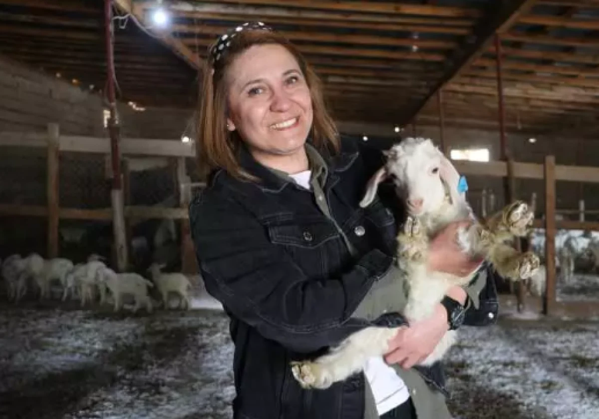 Aldığı devlet desteğiyle 300 ke&ccedil;iyi 1300 ke&ccedil;iye &ccedil;ıkarttı         