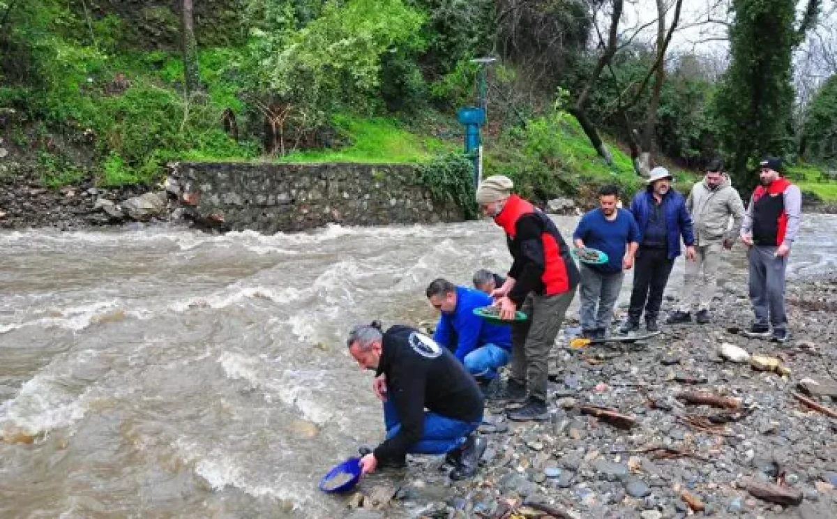 Altın avcıları akın etti                              