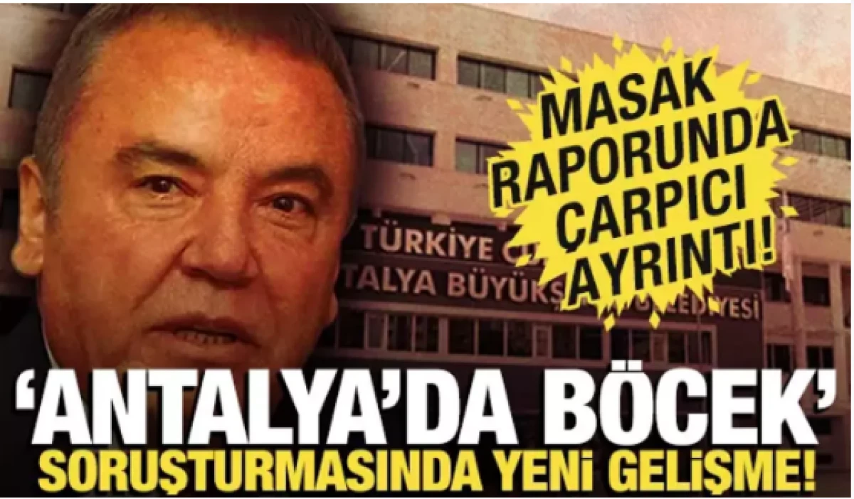 Antalya'da ''Böcek'' soruşturmasında 8 şüpheli daha tutuklandı! 