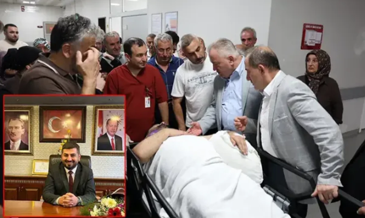 Arı kovanlarının bakımını yaparken iskeleden d&uuml;şen belediye başkanı yaralandı
