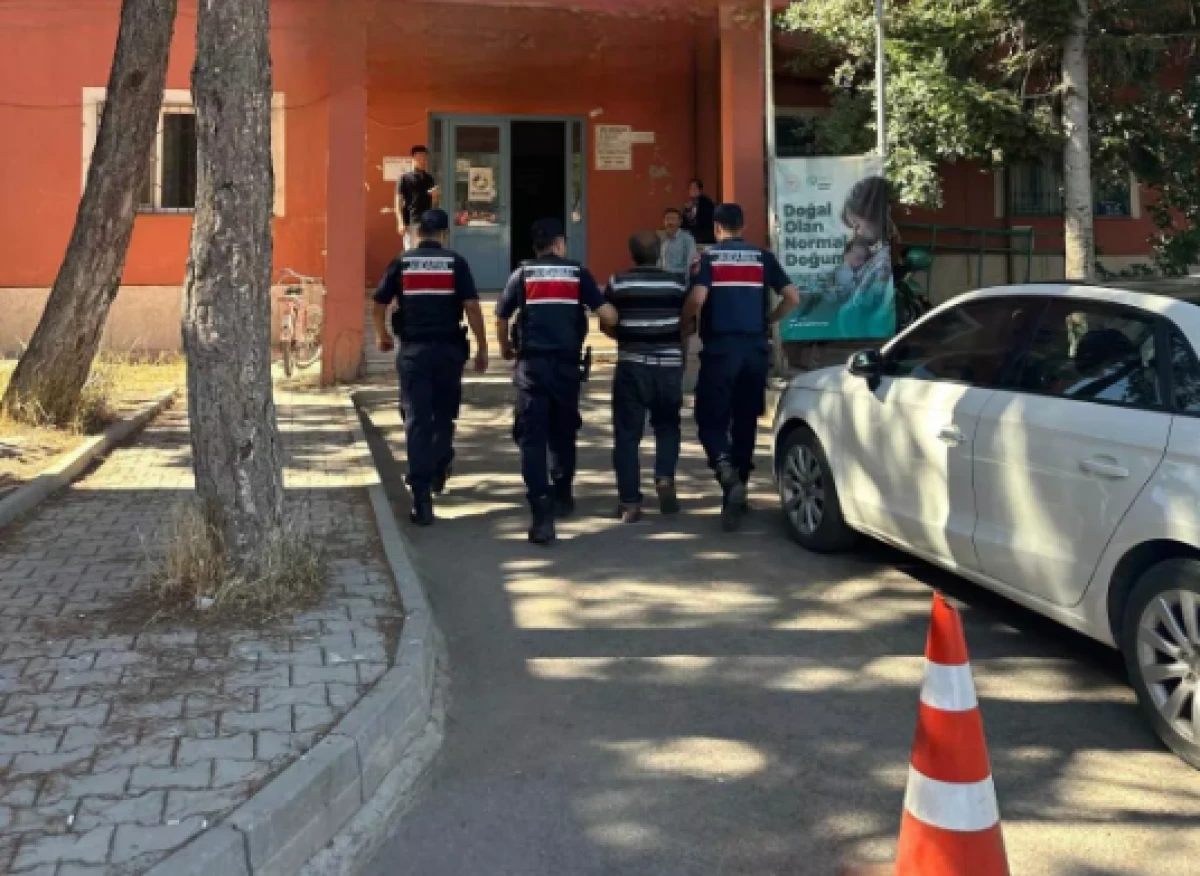 Arıları sakinleştirmek isterken 80 hektar ormanı yaktı 