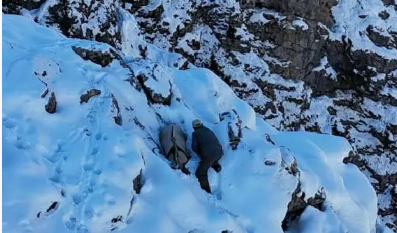 Avladığı keçinin cezası 650 bin TL: Görüntülendiğini görünce ölü taklidi yaptı