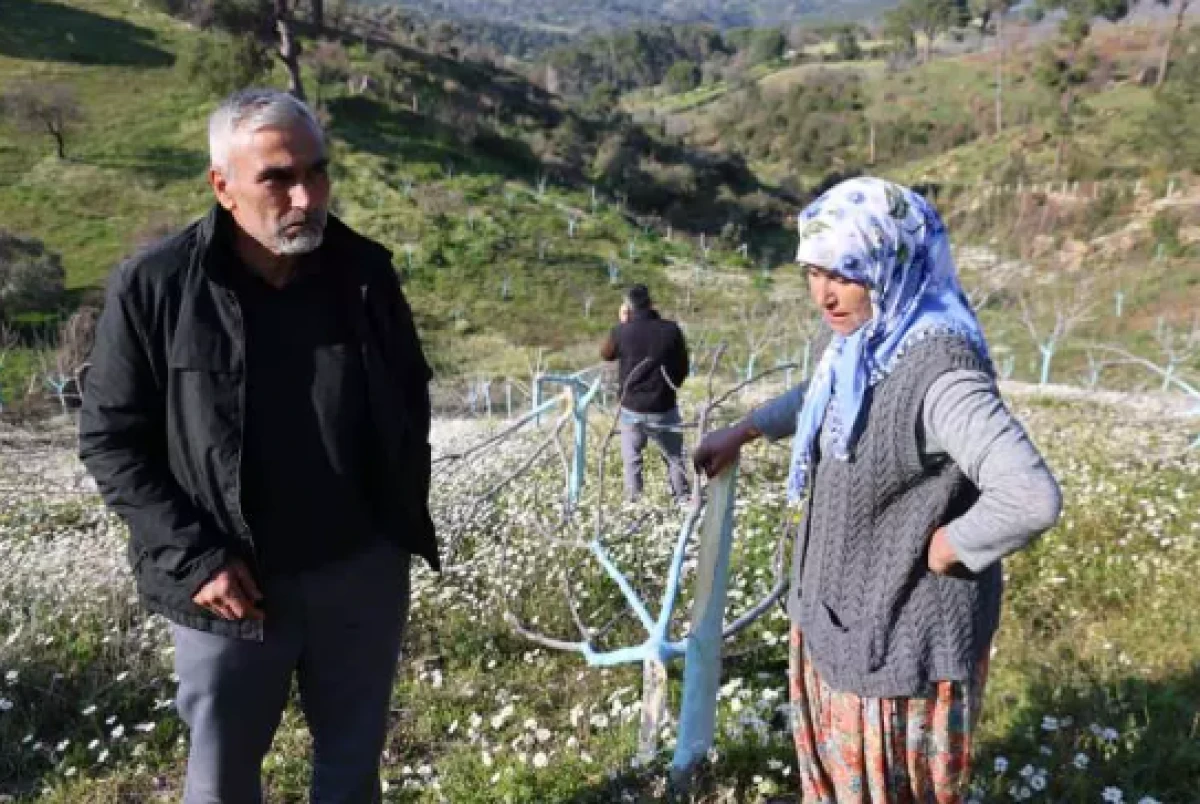 Aydın&rsquo;da akılalmaz &ouml;fke                        