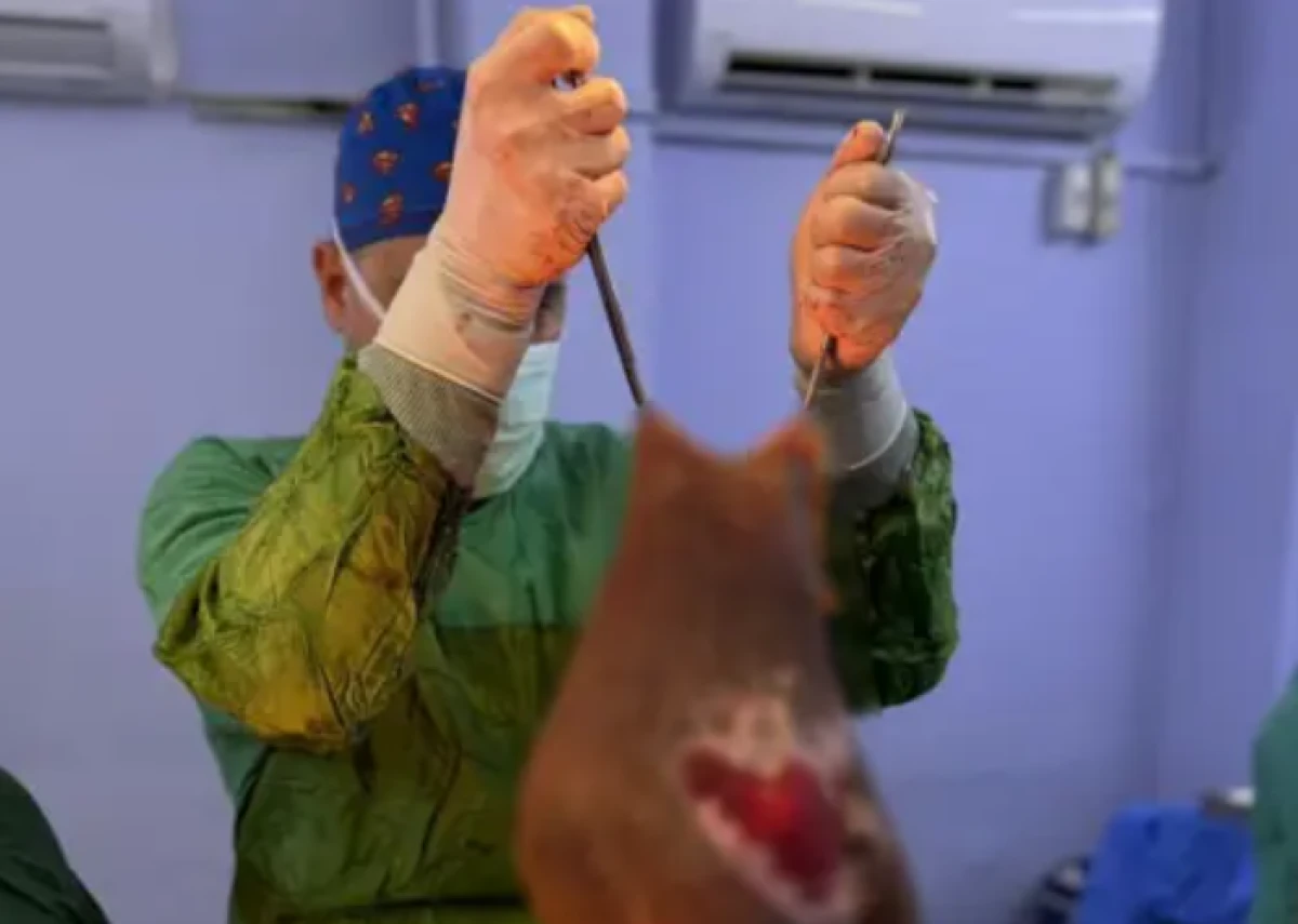 Aydın'da şoke eden operasyon: Karnından 40 kilogram kitle &ccedil;ıkarıldı