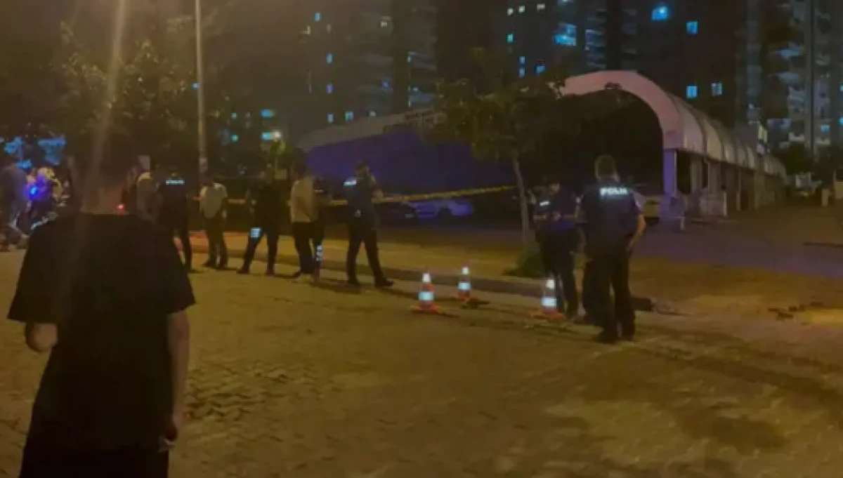 Ayırmak istediği kavga sonu oldu: Anne &ouml;ld&uuml;, oğlu yaralandı