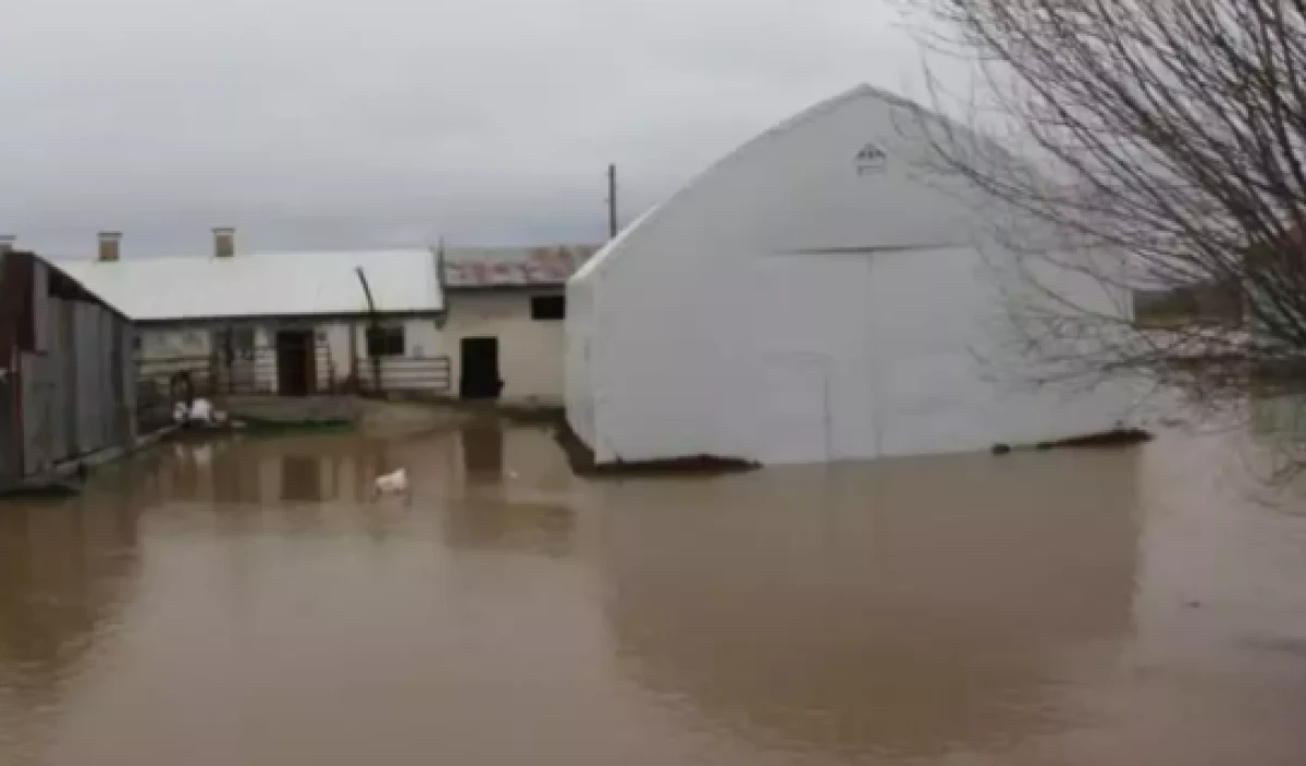 Baraj taştı, k&ouml;y tamamen sular altında kaldı