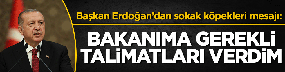 Başkan Erdoğan’dan sokak köpekleri mesajı           