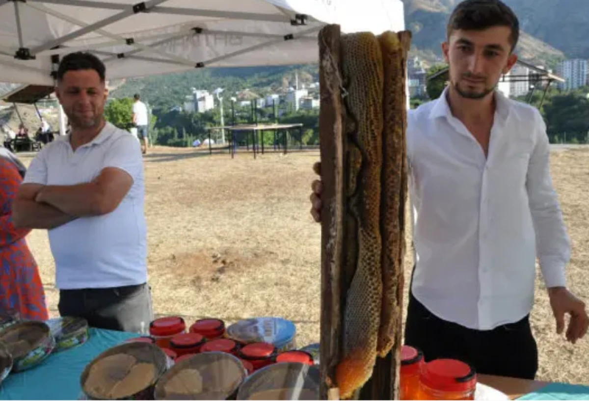 Batman'da ağa&ccedil; kavuğunda &ccedil;ıkartıldı! Kilogram fiyatı &ccedil;eyrek altını ge&ccedil;ti