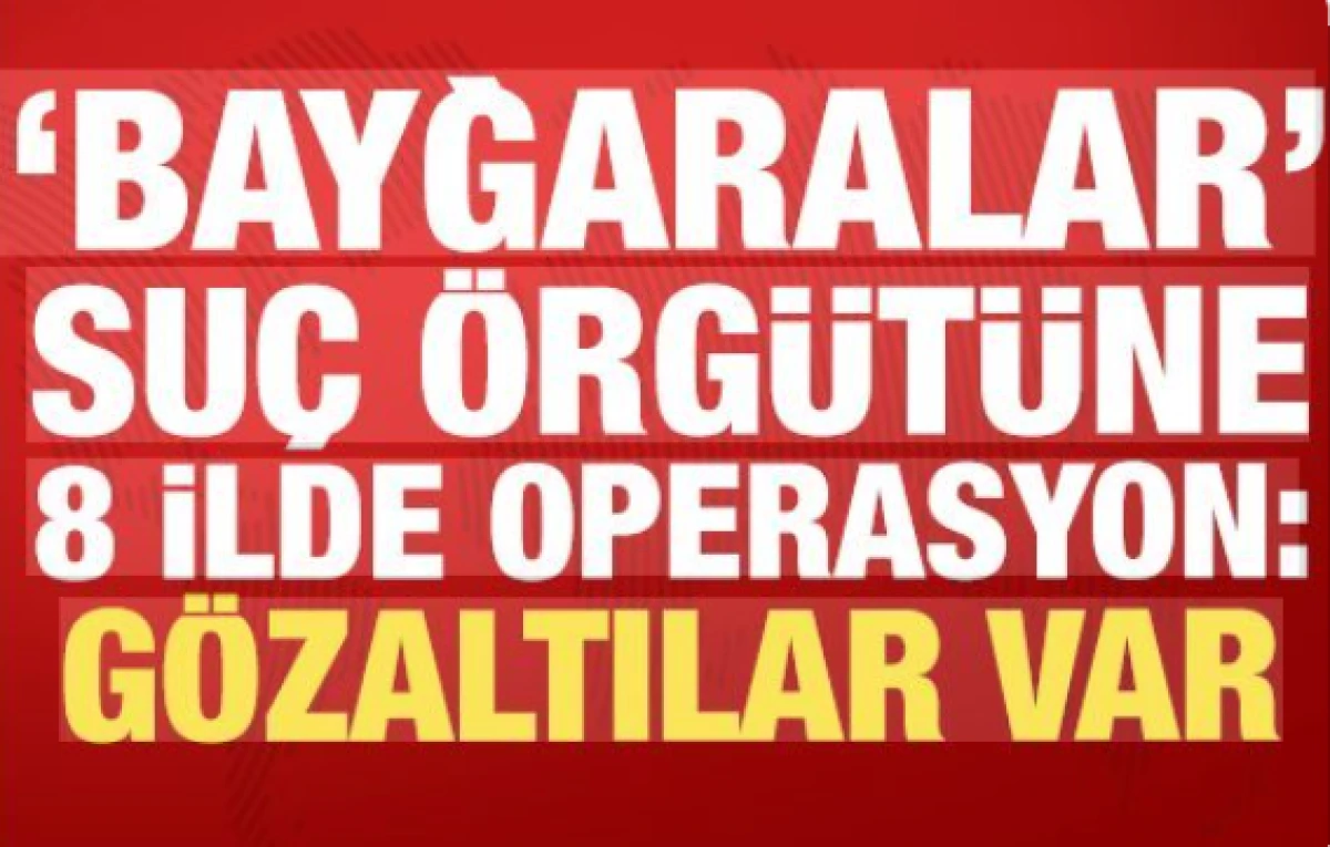 Bayğaralar su&ccedil; &ouml;rg&uuml;t&uuml;ne 8 ilde operasyon