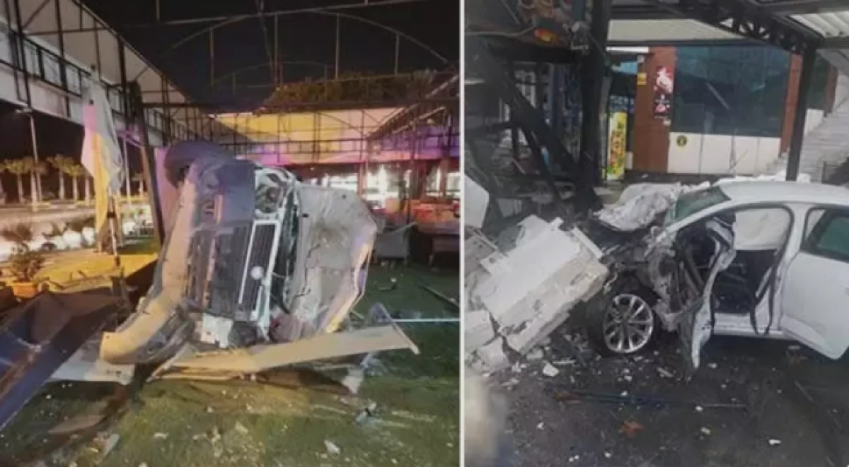 Bing&ouml;l ve Aydın'da dehşet anları:                    