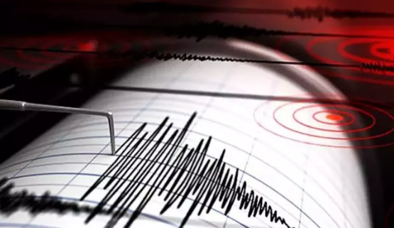 Bingöl'de 3,9 büyüklüğünde deprem                          