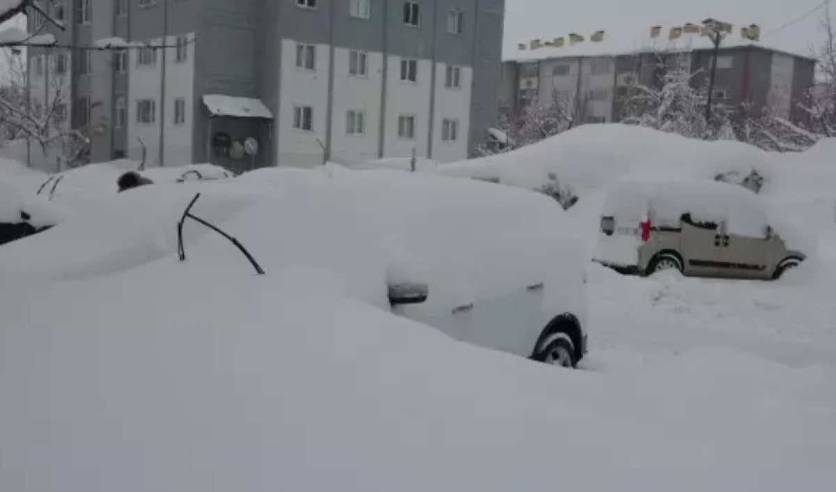 Bitlis'te kar esareti                                         