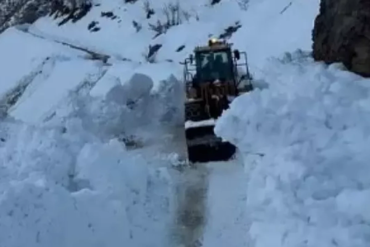 Bitlis'te k&ouml;y yoluna &ccedil;ığ d&uuml;şt&uuml;!                                  