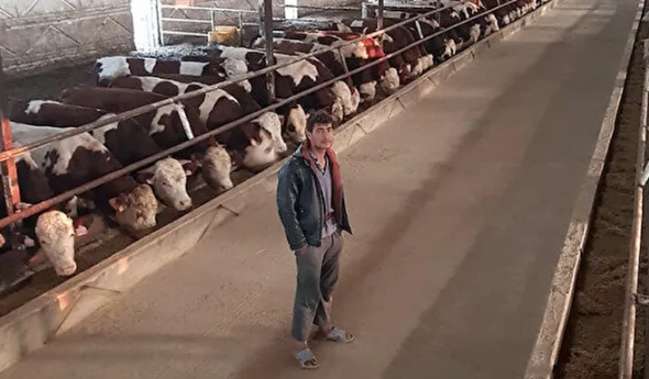 Böyle çoban görülmedi: Çalıştığı mandıradan her hafta hayvan çalıp kasaba kestirdi