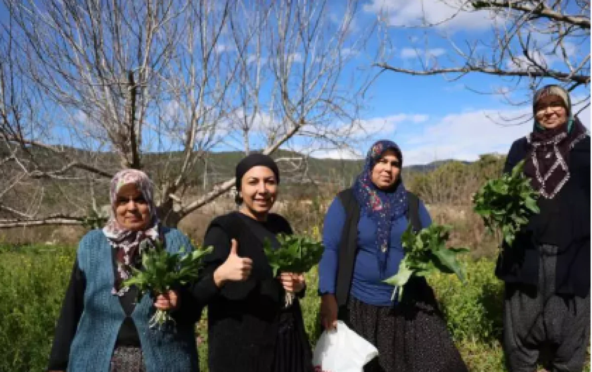 Bu otu yerken 2 kez d&uuml;ş&uuml;n&uuml;n                     