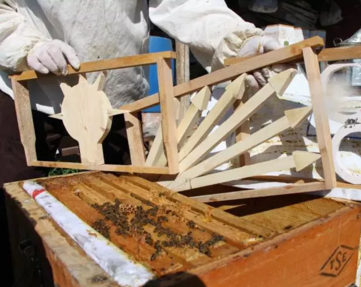 Bu se&ccedil;imi arılar belirleyecek! 3 partinin kıyasıya yarışı eyl&uuml;l ayında son bulacak  