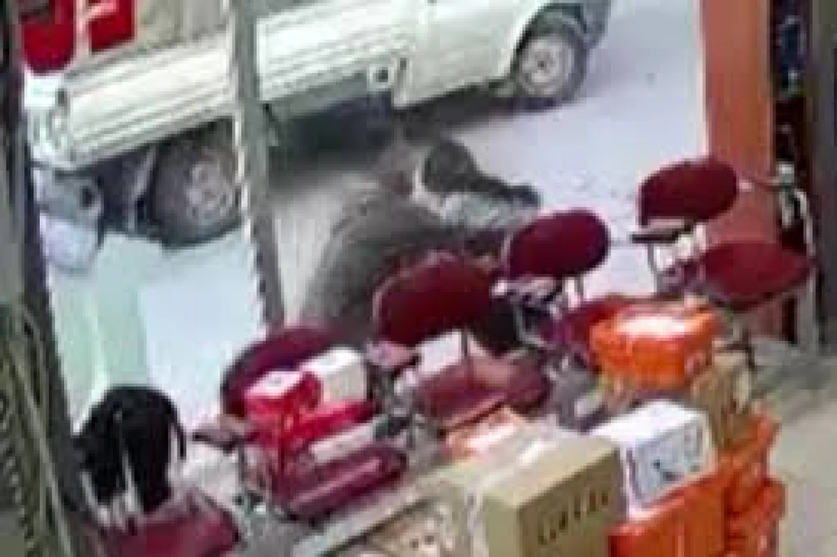 Bursa'da cinsel saldırı! Tanımadığı kadını sokak ortasında soymaya çalıştı!