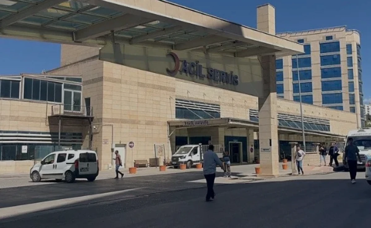 Ceviz toplamak için çıktığı ağaç sonu oldu