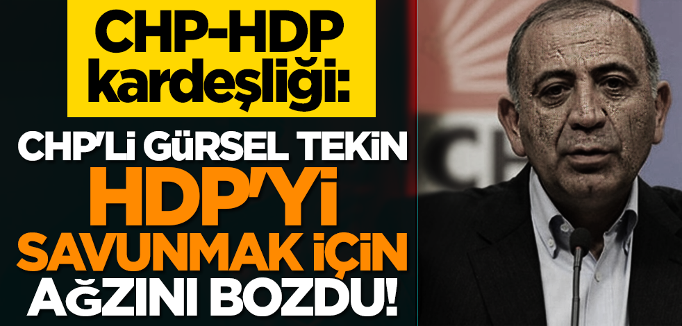 CHP-HDP kardeşliği                                     