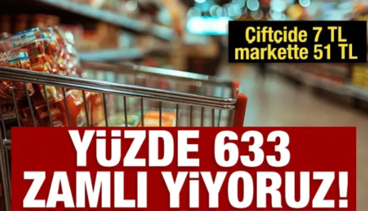 &Ccedil;ift&ccedil;ide 7 TL markette 51 TL: Y&uuml;zde 633 zamlı yiyoruz