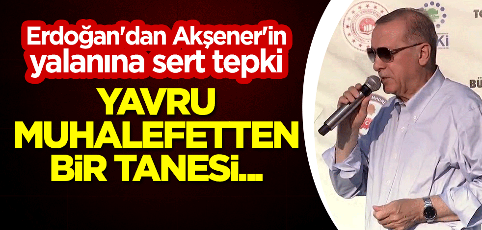 Cumhurbaşkanı Erdoğan'dan Akşener'in yalanına sert tepki: Yavru muhalefetten bir tanesi...