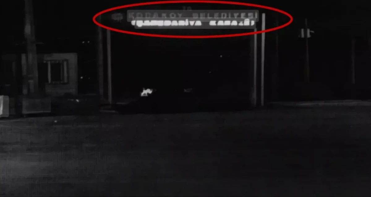 DEM Partili belediyeye kaymakamdan tabela uyarısı! 