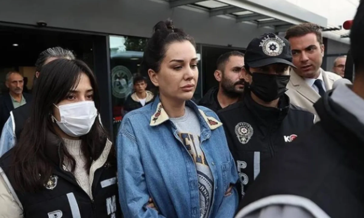 Dilan Polat 'Cumhurbaşkanına hakaret'ten g&ouml;zaltına alındı