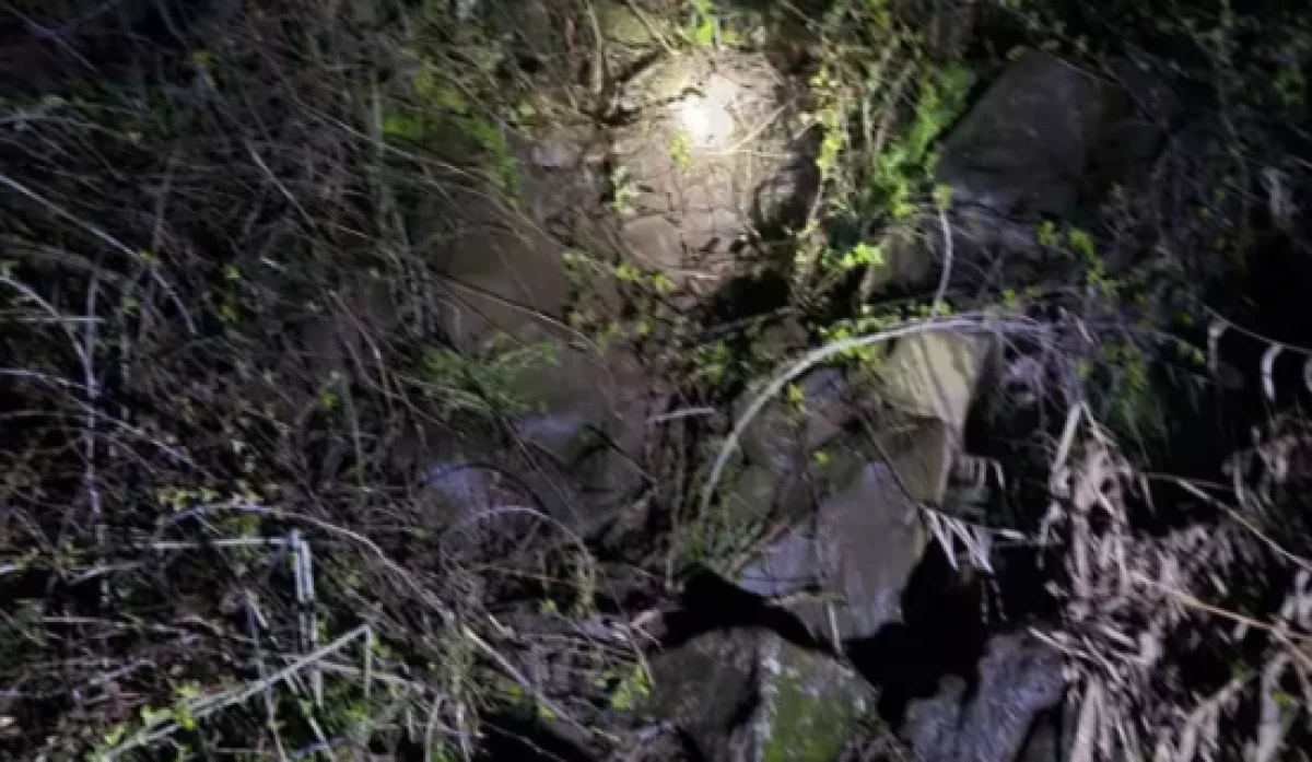 Diyarbakır 'da kahreden olay                        