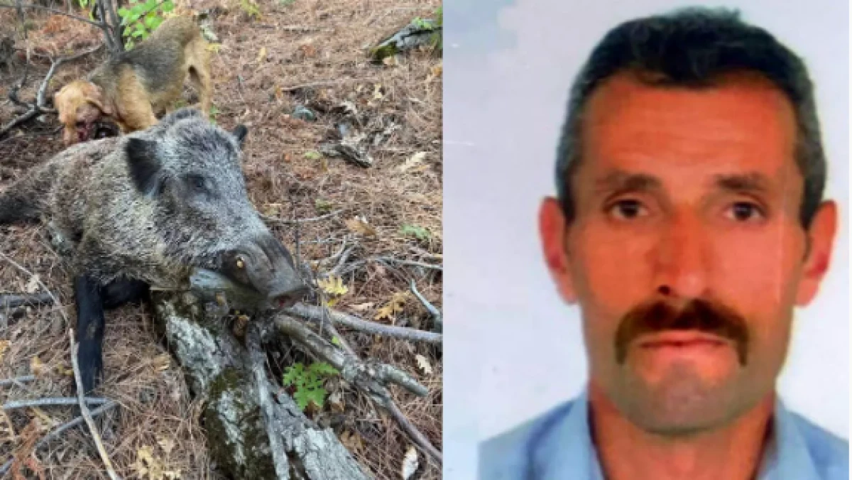 Erzincan'da domuz saldırısı: 1 &ouml;l&uuml;!          