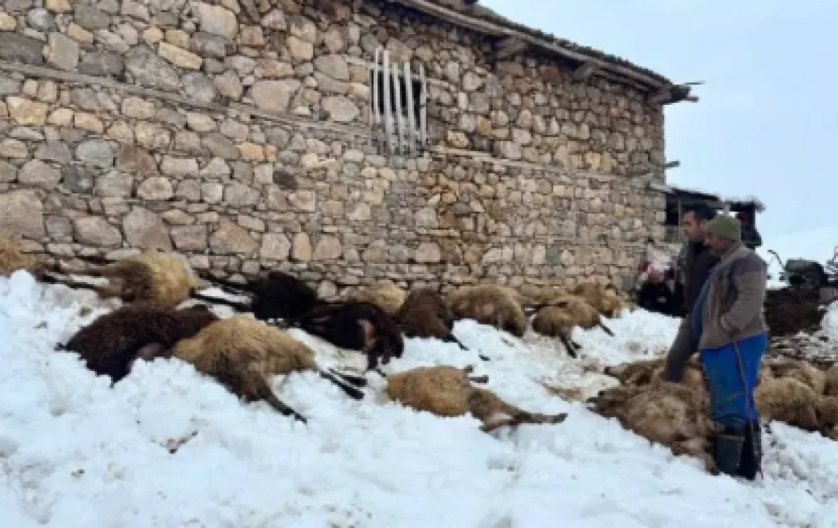 Erzincan'da kahreden manzara                  