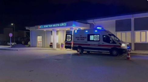 Erzurum'da doğalgaz zehirlenmesi              