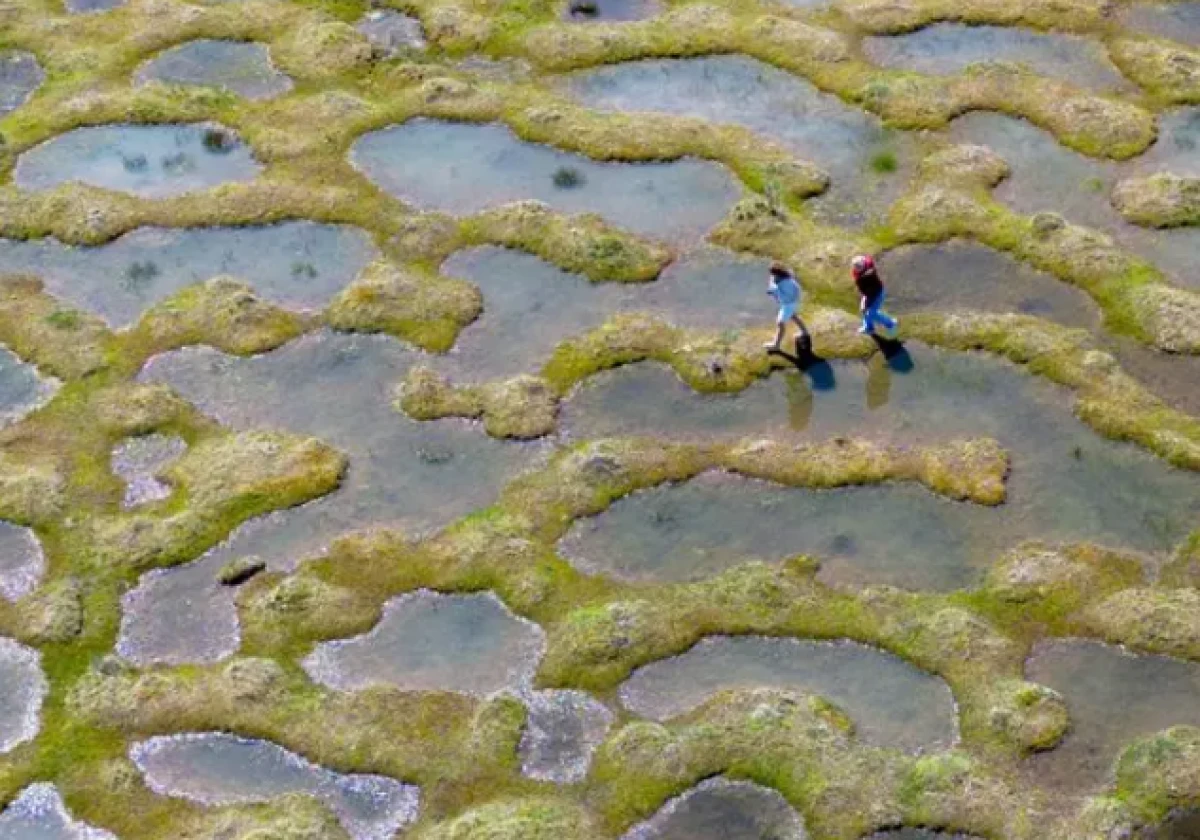 Eşine zor rastlanır, Sakarya&rsquo;da g&ouml;lc&uuml;kler ve menderesler g&ouml;rsel ş&ouml;len sundu 