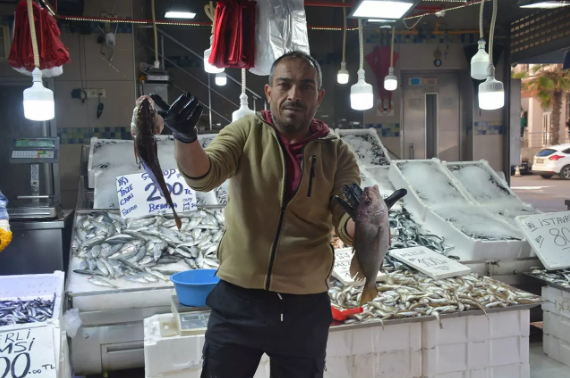 Eşkina balığı tezgahlarda yerini aldı    