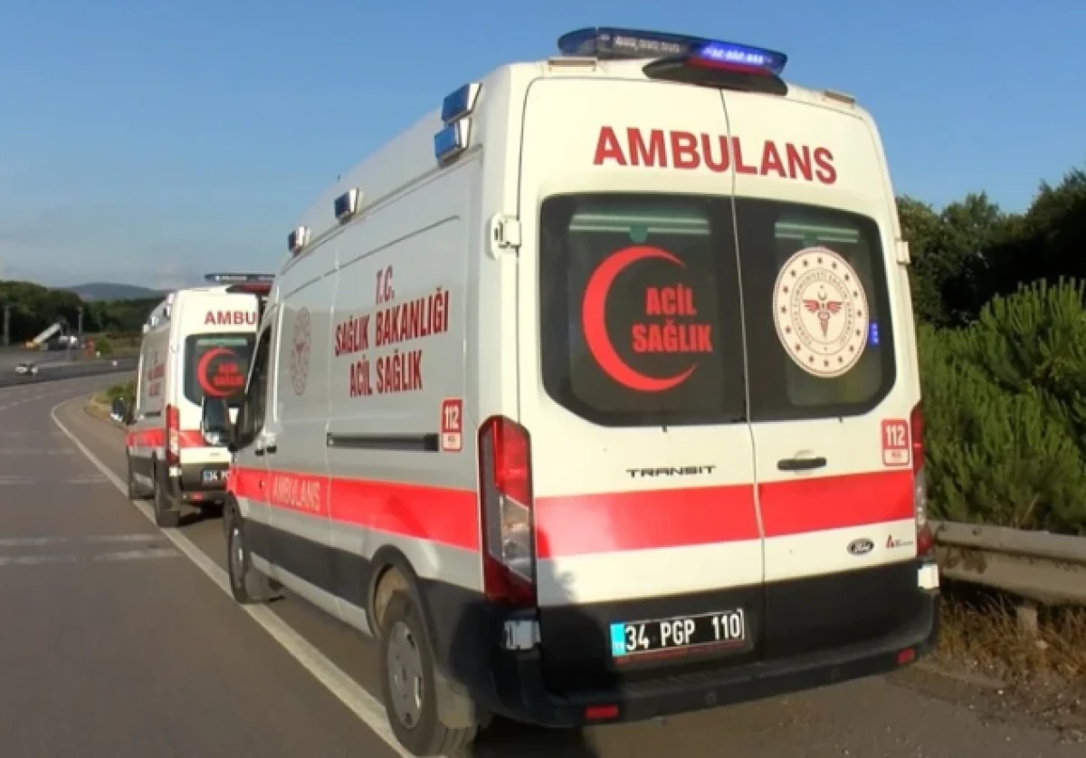 Feci kaza! Hafif ticari ara&ccedil; ağa&ccedil;lık alana u&ccedil;tu: Yaralılar var