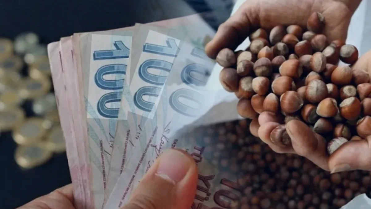Fındık ihracatı kasayı doldurdu!