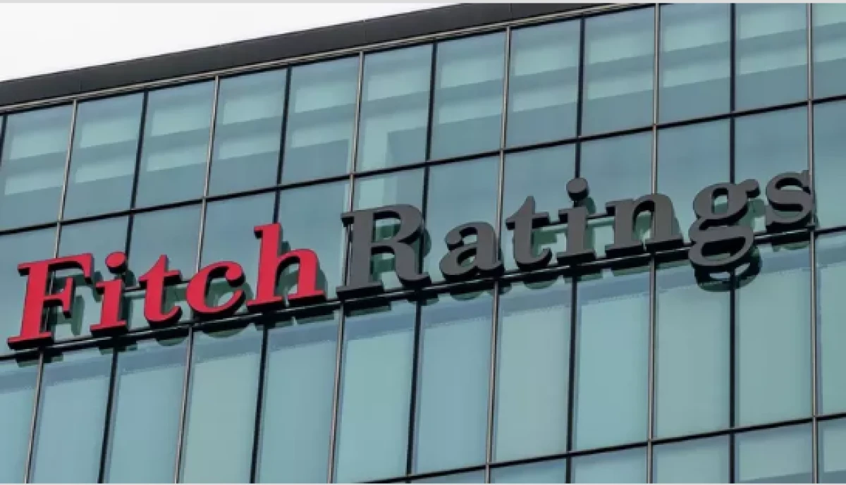 Fitch'ten T&uuml;rkiye raporu                  