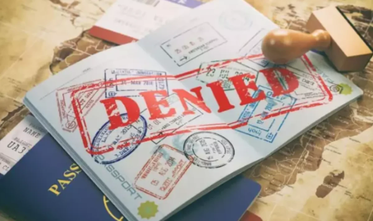 Fransa'daki d&uuml;ğ&uuml;n i&ccedil;in yarısı onay aldı        