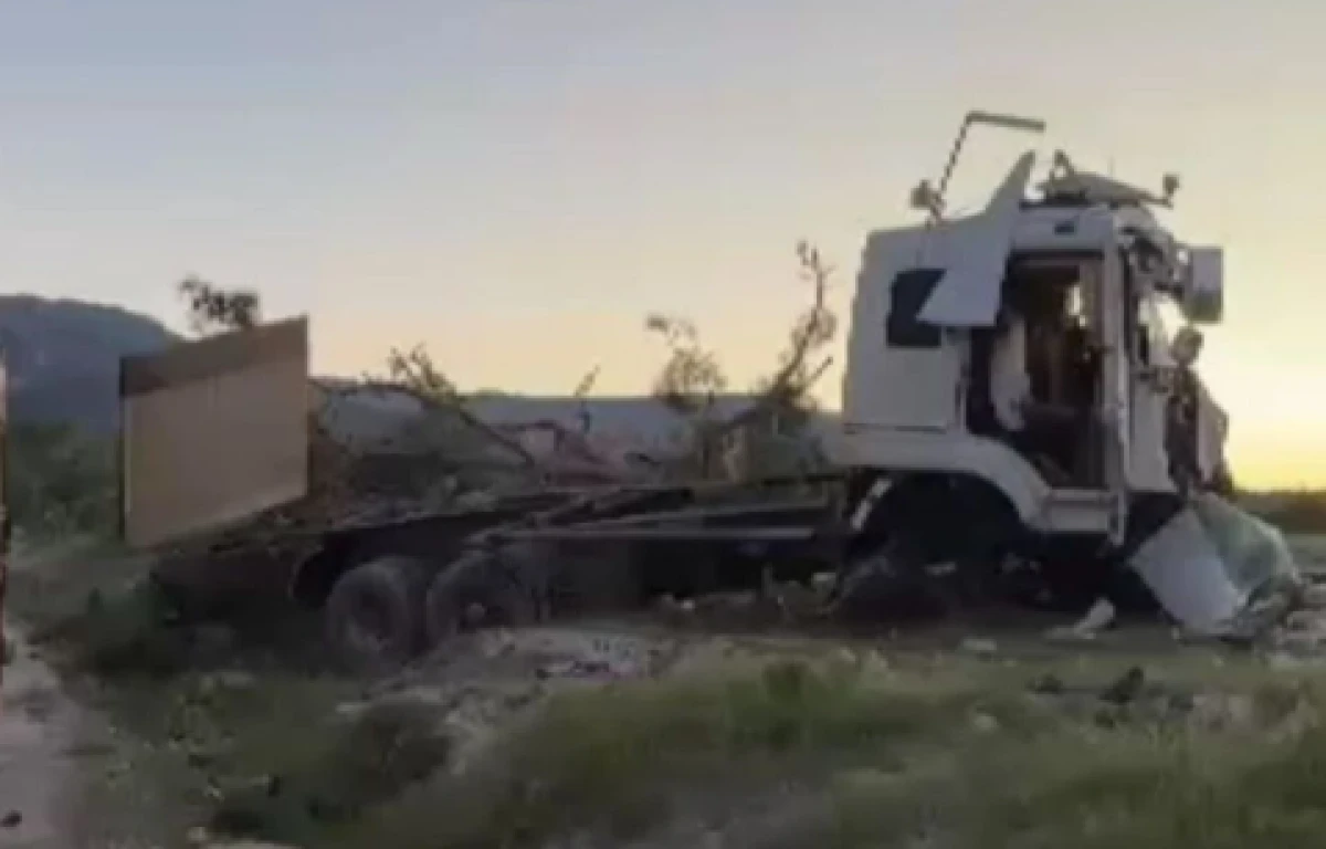 Freni boşalan sebze y&uuml;kl&uuml; TIR ağaca &ccedil;arparak durabildi